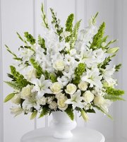 Morning Stars Arrangement