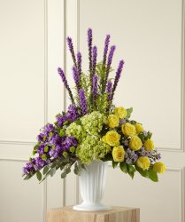 Affection Arrangement  Affection Arrangement