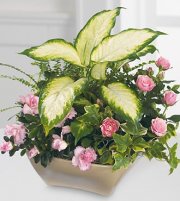 Garden Of Grace Planter Garden Of Grace Planter