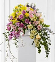 Display Of Affection Arrangement