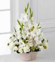 Affection and Peaceful Arrangement
