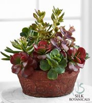 Succulent Dish Garden Succulent Dish Garden