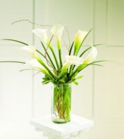 Simple Sophistication Arrangement Simple Sophistication Arrangement