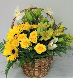 Sunny Desire Basket