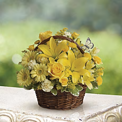 Basket Full Of Wishes