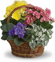 Spring Has Sprung Bouquet Spring Has Sprung Bouquet