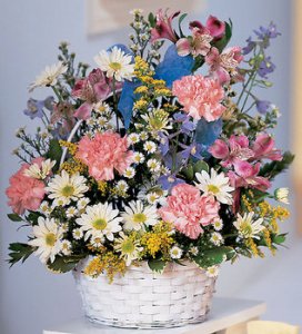 New Baby Jubilee New Baby Jubilee