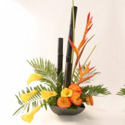 The Tropical Bouquet