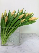 Swept Away Tulip Bouquet Swept Away Tulip Bouquet