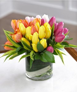 A Mixed Tulip Rainbow Bouquet - 40 Tulips