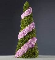 Grow With Me Arrangement Grow With Me Arrangement