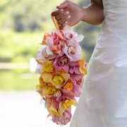The Delicacy Bouquet The Delicacy Bouquet