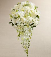 Wonders Bouquet Wonders Bouquet