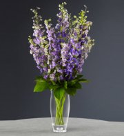 Honesty Bouquet Honesty Bouquet