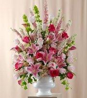 Solemnity Arrangement Solemnity Arrangement