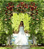 The Arbor Of Love Archway The Arbor Of Love Archway