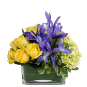 Spring Connection Bouquet Spring Connection Bouquet