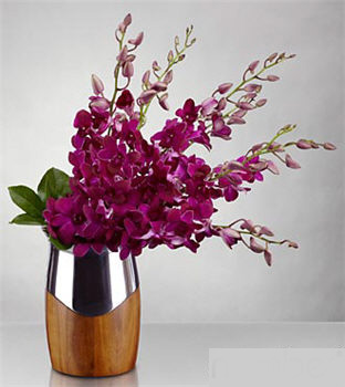 New Perspectives Orchid Bouquet