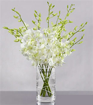 Distant Dreams Orchid Bouquet