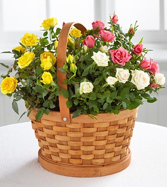 Rose Garden Basket