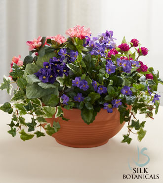 Spring Sunshine Dishgarden