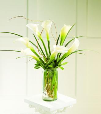 Simple Sophistication Arrangement