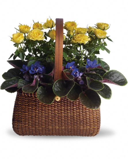 Garden To Go Plants - Click Image to Close